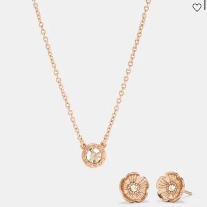Coach Rose Gold Necklace and Earrings with Floral Accents